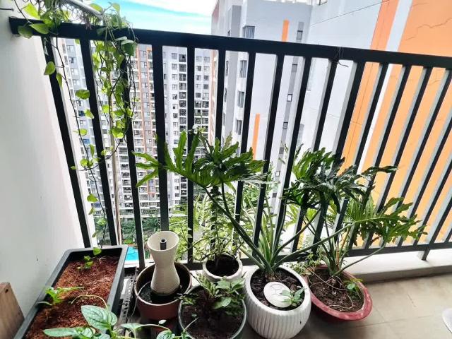 Căn hộ bán tại Thủ Đức, Hồ Chí Minh