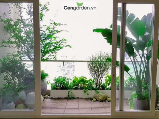 Căn hộ bán