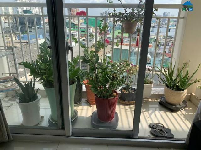 Căn hộ bán tại Thủ Đức, Hồ Chí Minh