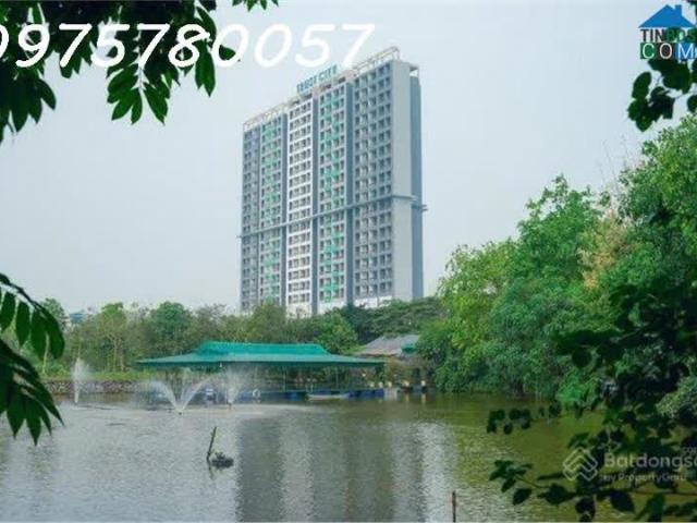Căn hộ bán