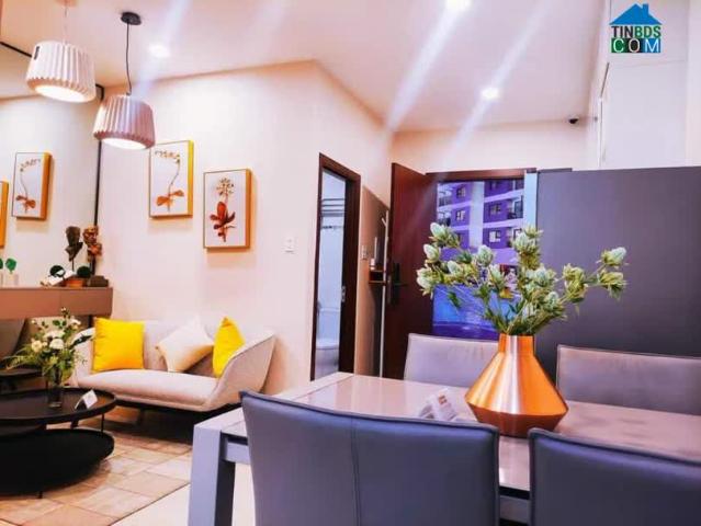 Căn hộ bán tại Gia Lai