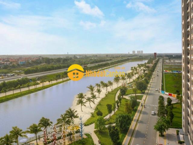 Căn hộ bán