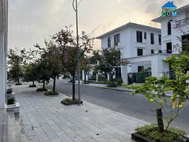 Nhà mặt phố bán tại Ngô Quyền, Hải Phòng