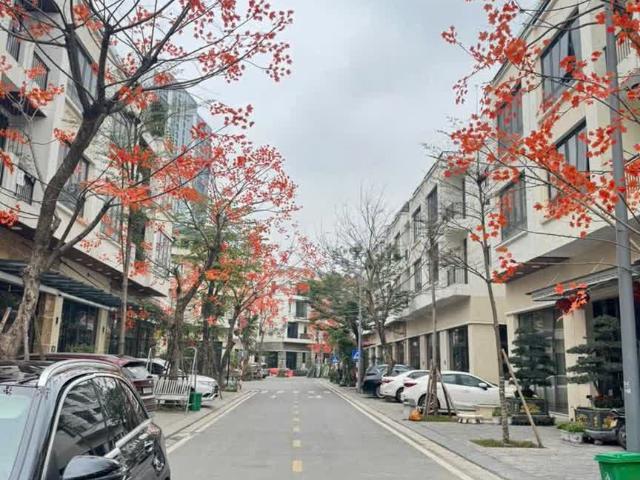 Biệt Thự bán tại Hải Phòng