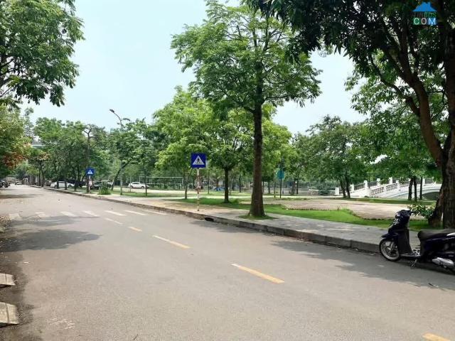 Nhà mặt phố bán tại Hải Phòng