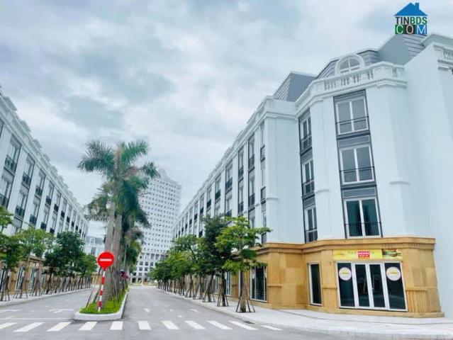 Biệt Thự bán