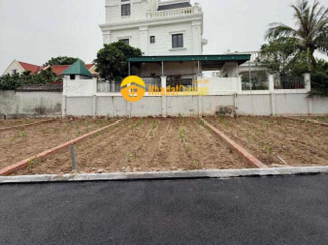 Mặt bằng bán