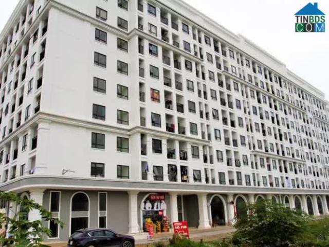 Căn hộ bán