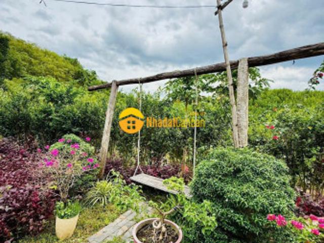 Mặt bằng bán