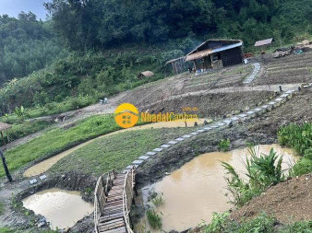 Mặt bằng bán