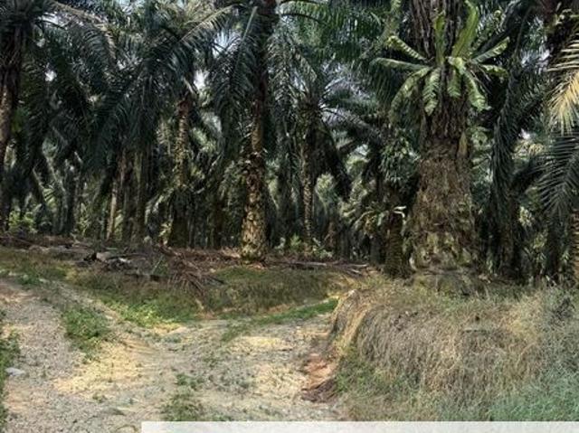 Shop for sale in Pasir Gudang, Johor