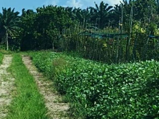 Shop for sale in Pasir Gudang, Johor