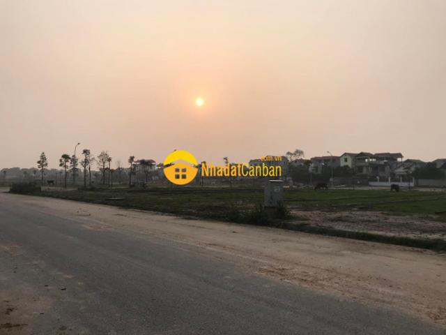 Căn hộ bán