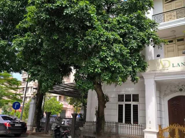 Biệt Thự bán tại Hoàn Kiếm, Hà Nội