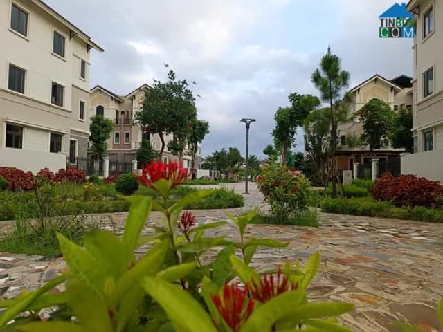 Biệt Thự bán tại Bắc Ninh