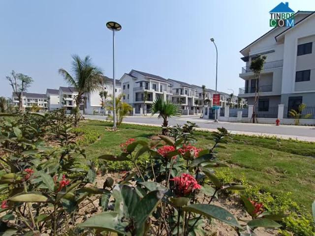 Biệt Thự bán tại Bắc Ninh