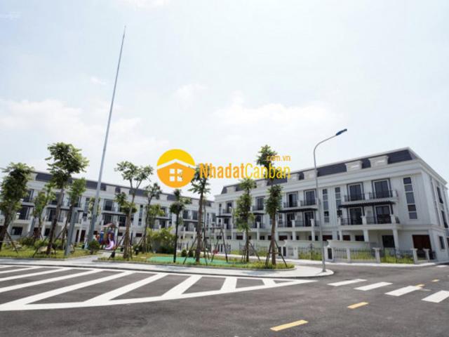 Biệt Thự bán