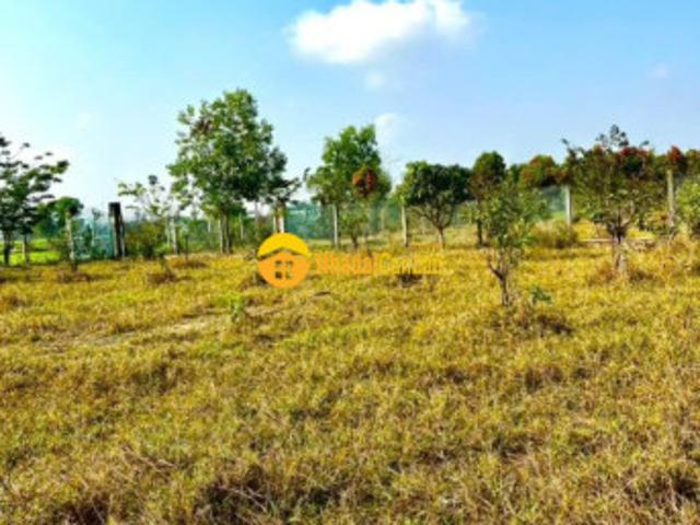 Mặt bằng bán