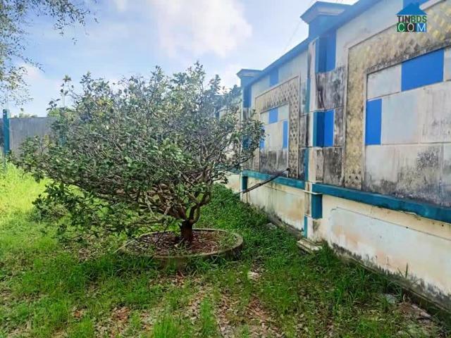 Nhà mặt phố bán tại Cà Mau
