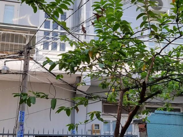 Nhà bán tại Thủ Đức, Hồ Chí Minh