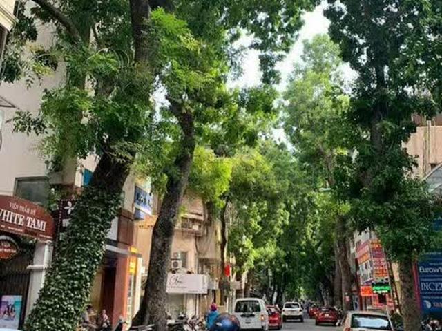 Nhà mặt phố bán tại Hoàn Kiếm, Hà Nội