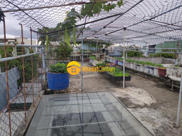 Nhà mặt phố bán