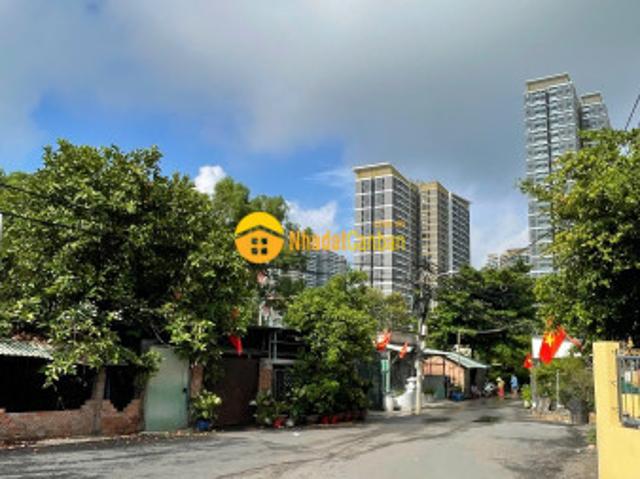 Mặt bằng bán