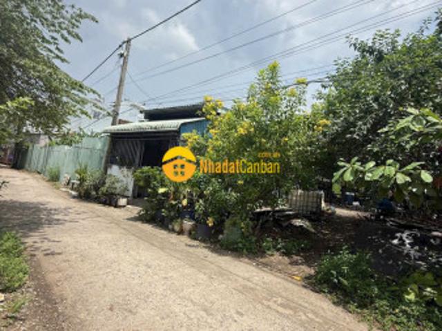 Mặt bằng bán