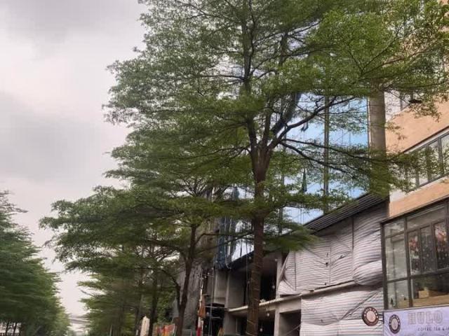 Nhà mặt phố bán tại Hoàn Kiếm, Hà Nội