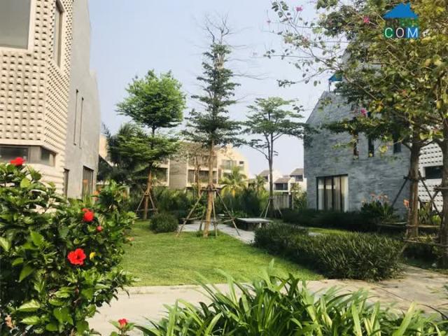 Biệt Thự bán