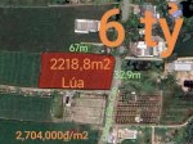 Bất động sản bán tại Long An, Thành phố Hồ Chí Minh