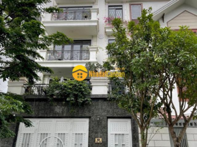 Biệt Thự bán