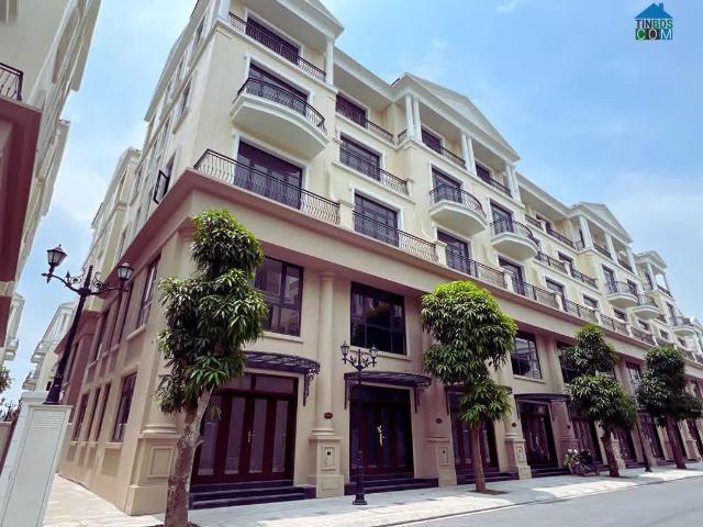 Biệt Thự bán
