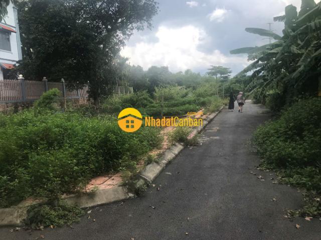 Mặt bằng bán