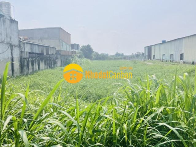 Mặt bằng bán