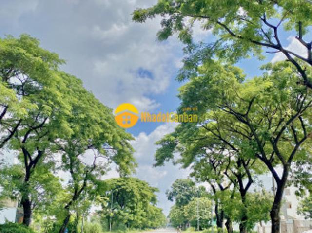 Mặt bằng bán