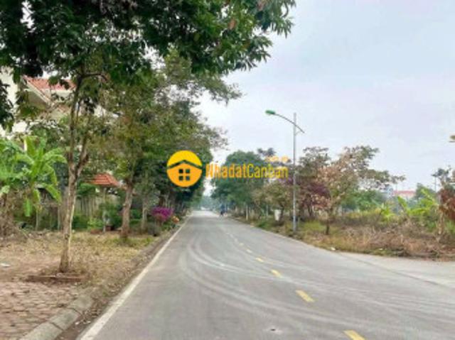 Mặt bằng bán tại Hải Phòng