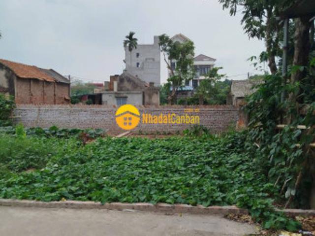 Mặt bằng bán