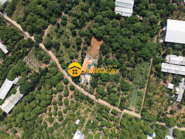 Mặt bằng bán