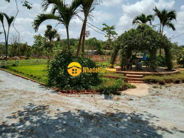 Nhà bán tại Vũng Tàu, Bà Rịa Vũng Tàu