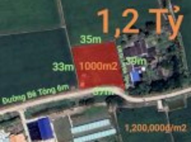 Bất động sản bán tại Long An, Thành phố Hồ Chí Minh