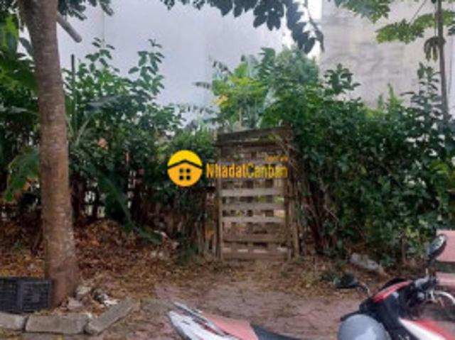 Mặt bằng bán
