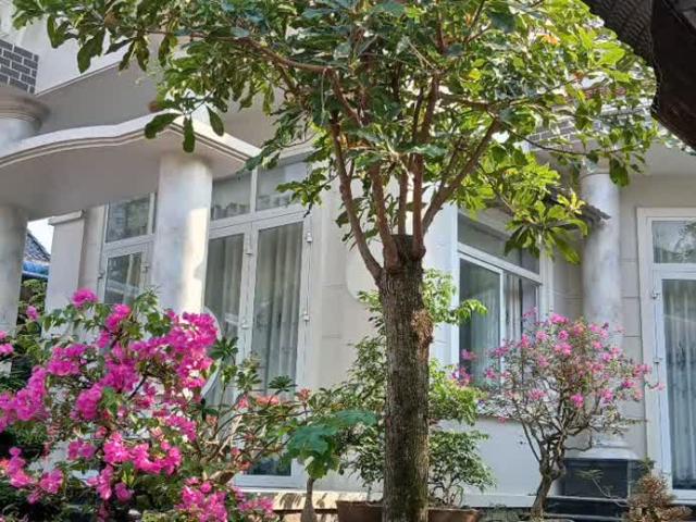 Biệt Thự bán