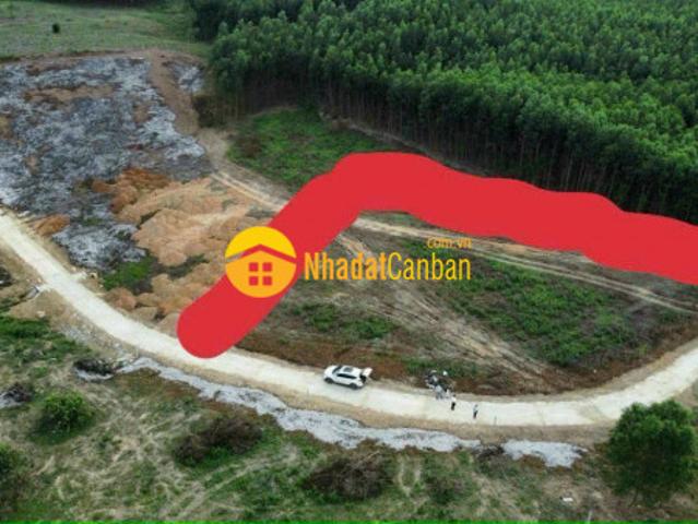Mặt bằng bán