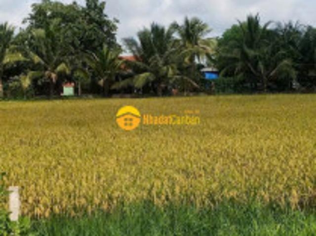 Mặt bằng bán