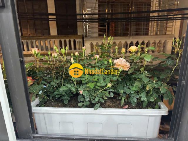 Nhà mặt phố bán