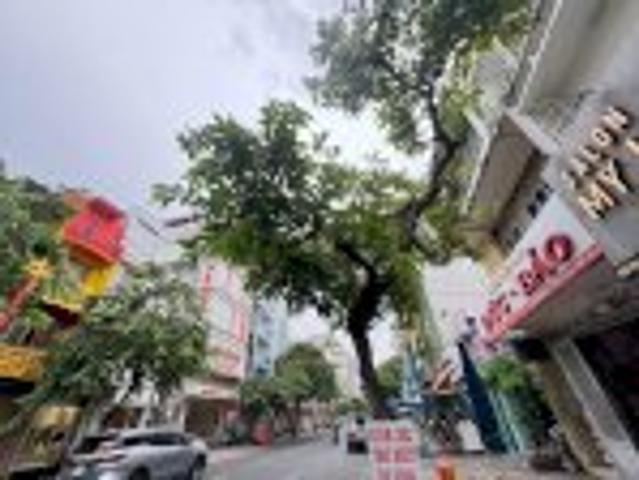 Bất động sản bán tại Hồ Chí Minh