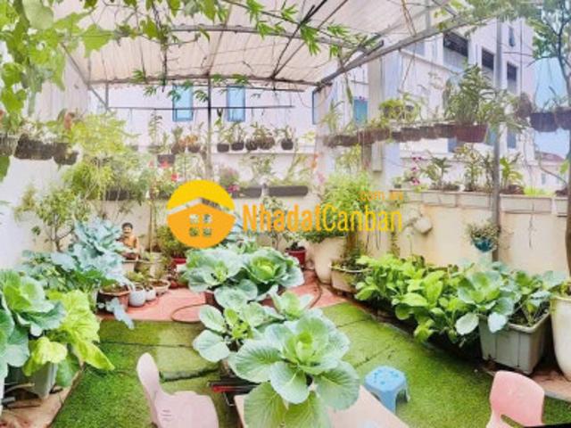 Nhà mặt phố bán tại Hải Phòng