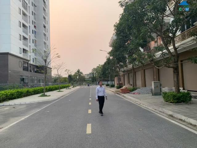 Biệt Thự bán