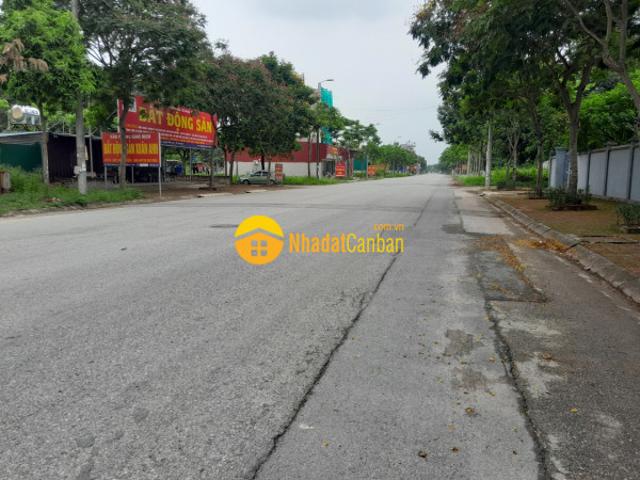 Biệt Thự bán